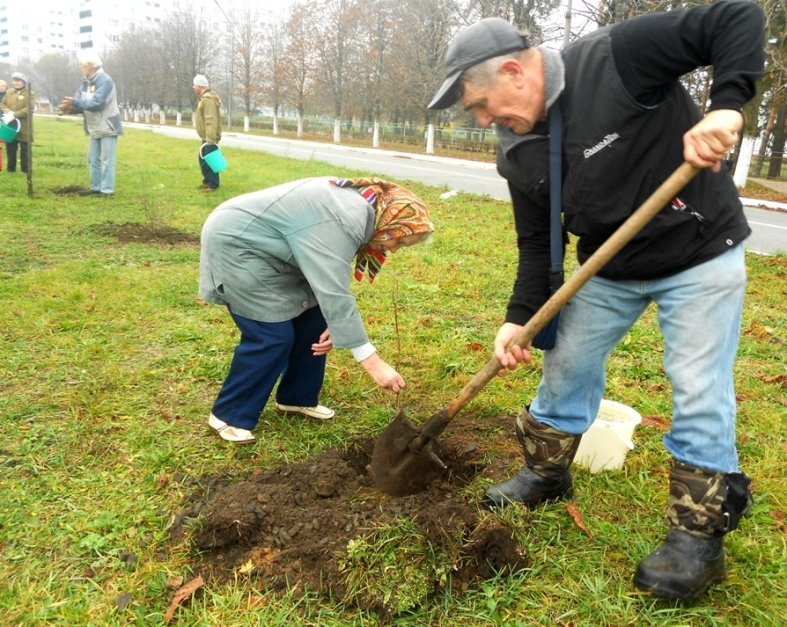 На Хмельниччині пройшла акція "Посади дерево – збережи планету»